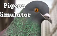 Pigeon simulator
