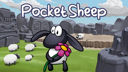 Pocket sheep